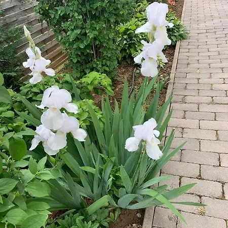 Affittacamere Pastel 3*