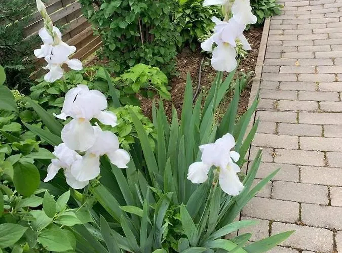 Maison d'hôtes Pastel 3*