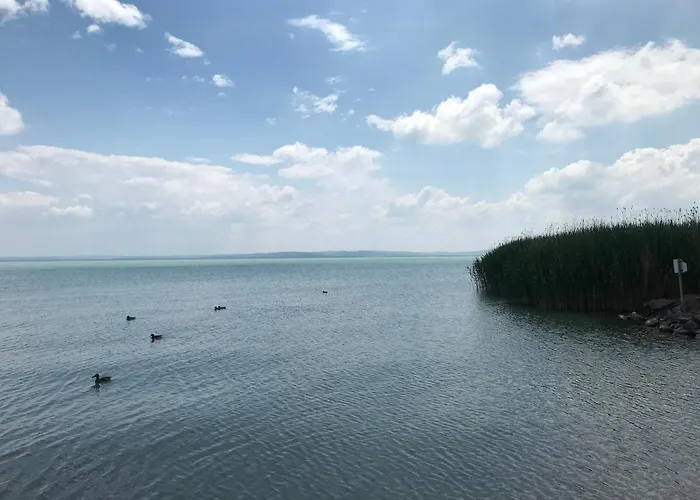 Maison d'hôtes Pastel 3*